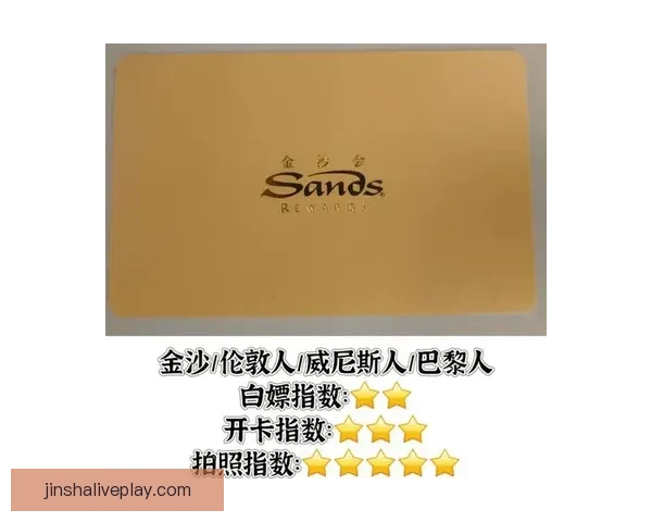 金沙娱乐全新体验攻略及热门玩法深度解析指南 金沙娱乐全新体验攻略及热门玩法深度解析指南